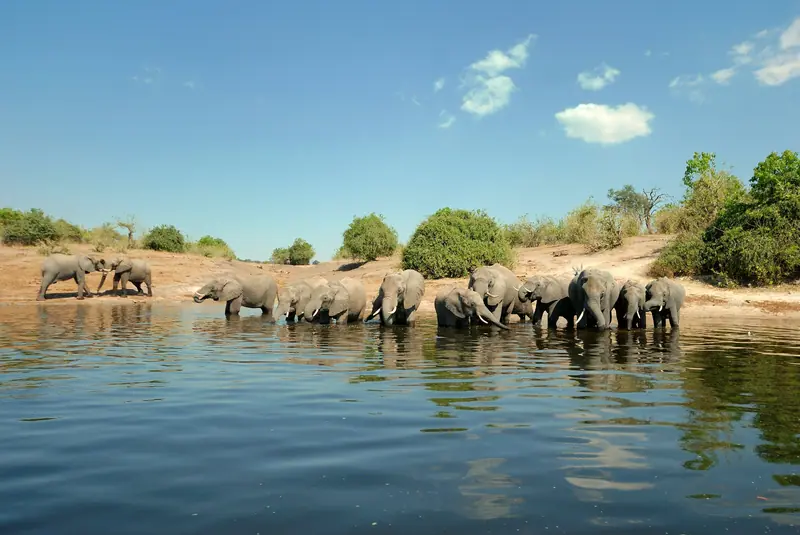 Chobe National Park, Botswana: the setting of andBeyond Chobe Under Canvas (not a photo of the property)