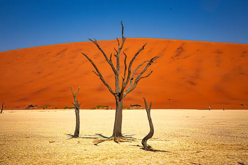 Sossusvlei, Namibia: the setting of andBeyond Sossusvlei Desert Lodge (not a photo of the property)