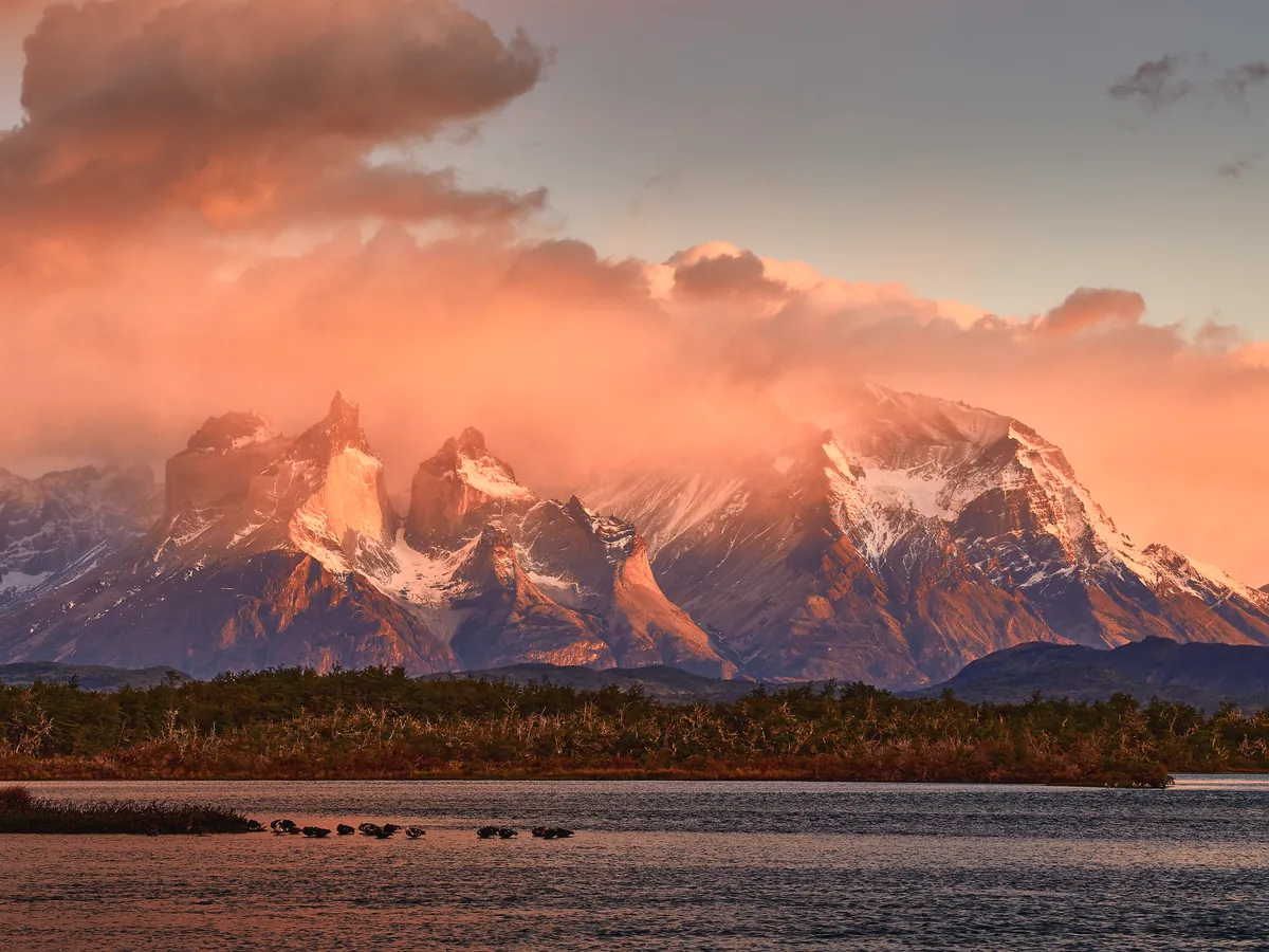 Cuernos del Paine glowing pink at sunrise in Torres del Paine, Chile