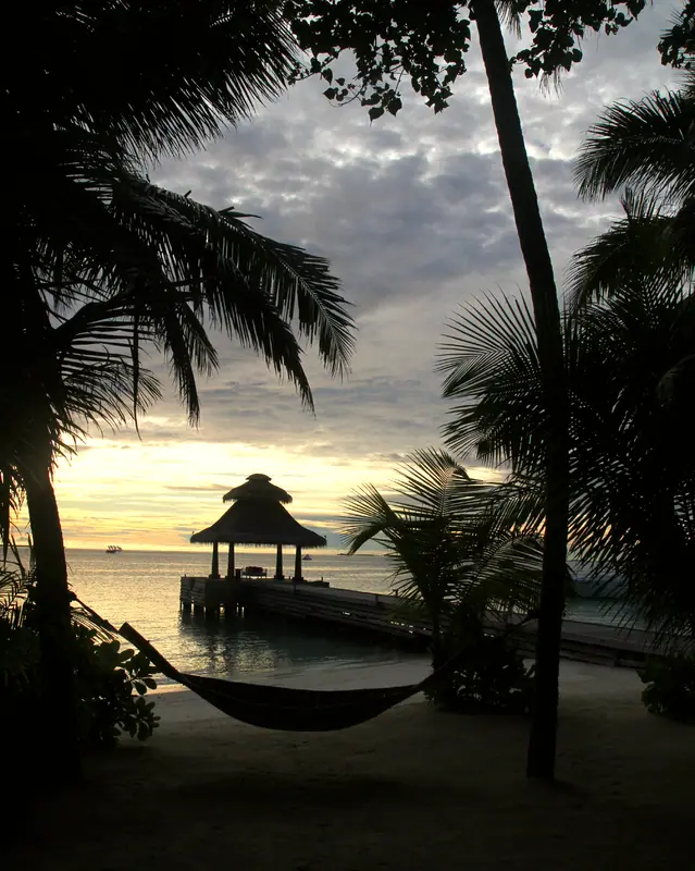 2025 Baros Maldives 25 - Flickr - anoldent