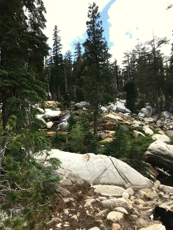 Granite boulders and pines in the Sierra near Bear Valley Lodge