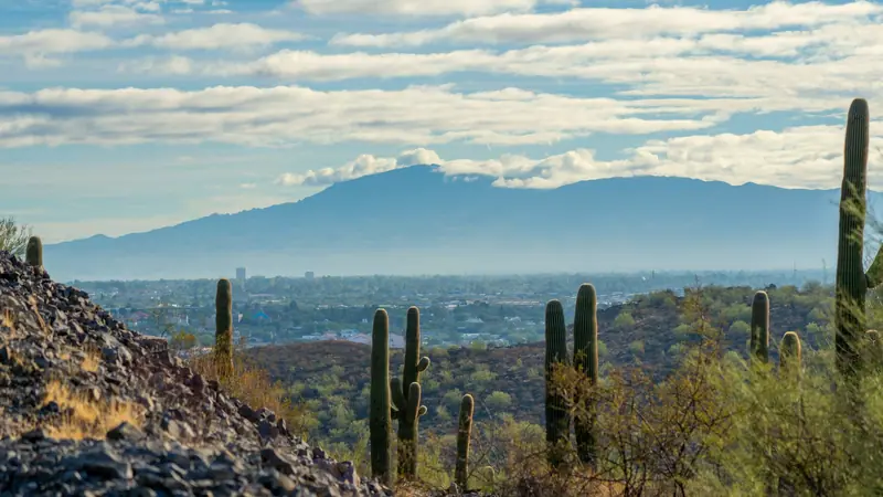Sonoran Desert, Tucson: the setting of Canyon Ranch Tucson (not a photo of the property)