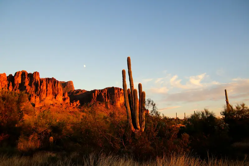 Sonoran Desert, Arizona: the setting of Castle Hot Springs (not a photo of the property)