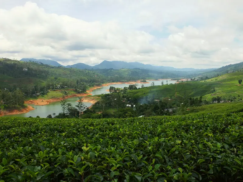Tea plantations and a reservoir in the hills around Ceylon Tea Trails, Sri Lanka