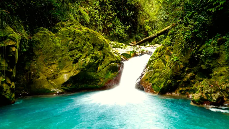 Bajos del Toro cloud forest, Costa Rica: the setting of El Silencio Lodge & Spa (not a photo of the property)
