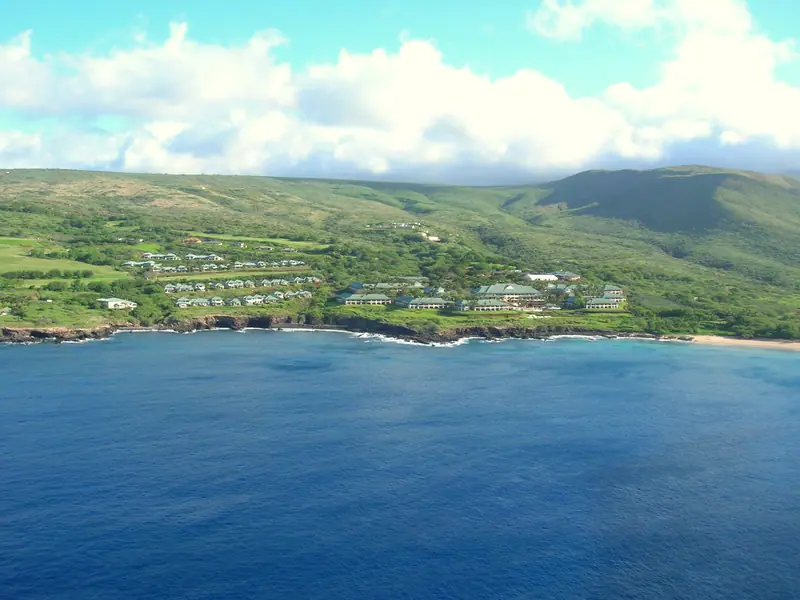 Coconut palms on the grounds of Four Seasons Resort Lānaʻi at Mānele Bay