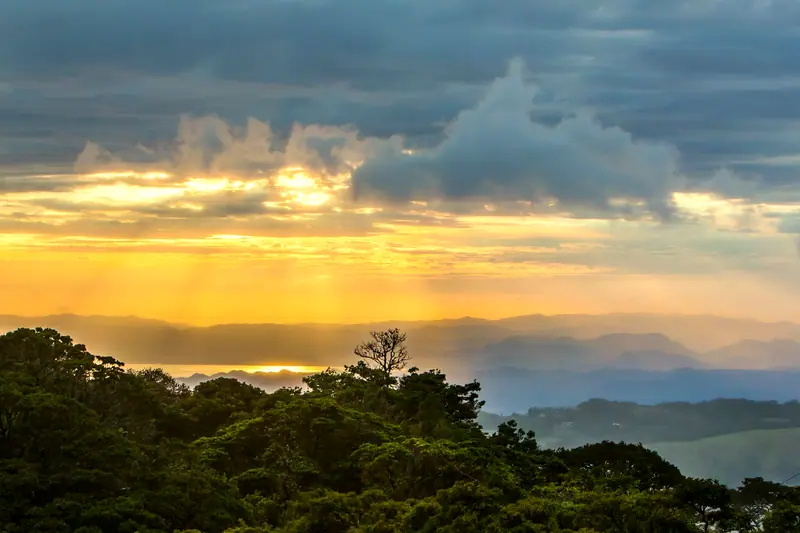 Monteverde cloud forest: the setting of Hotel Belmar (not a photo of the property)