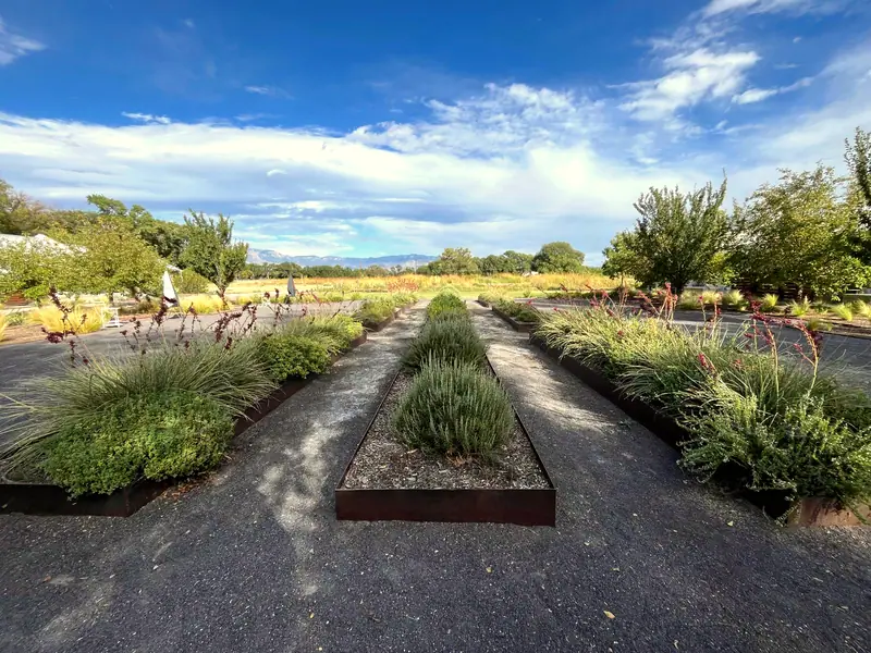 Kitchen garden at Los Poblanos