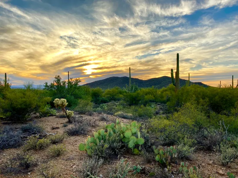 Santa Catalina Mountains, Tucson: the setting of Miraval Arizona Resort & Spa (not a photo of the property)