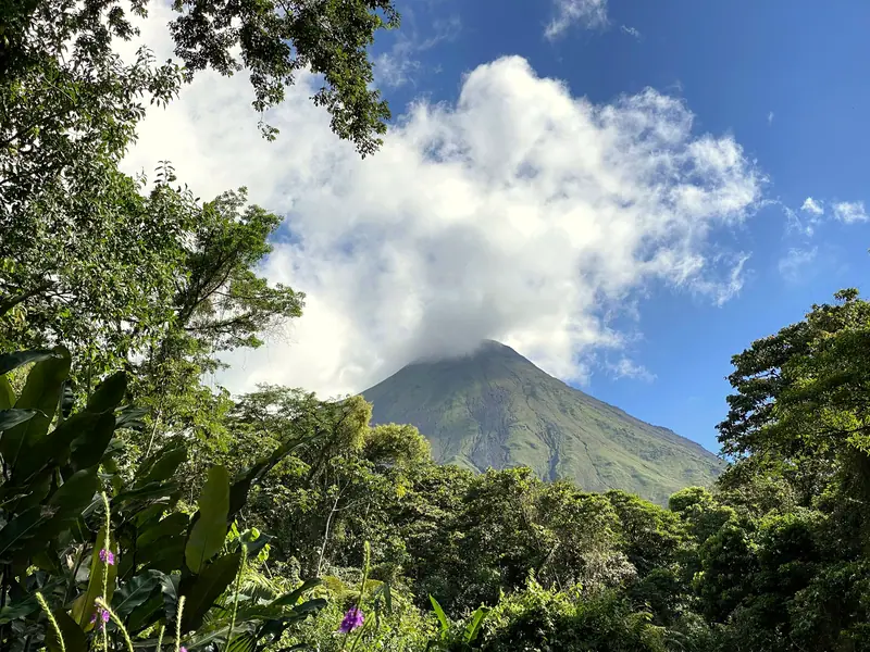 Arenal rainforest, Costa Rica: the setting of Nayara Gardens (not a photo of the property)