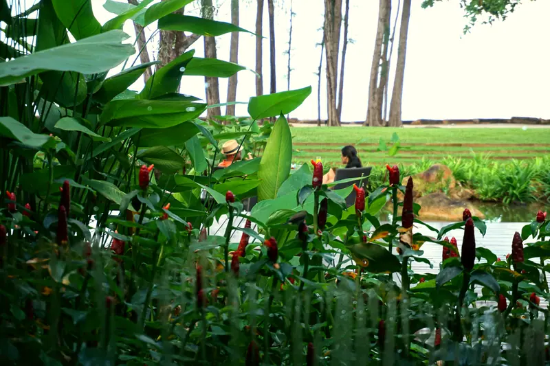 Phulay Bay, a Ritz-Carlton Reserve