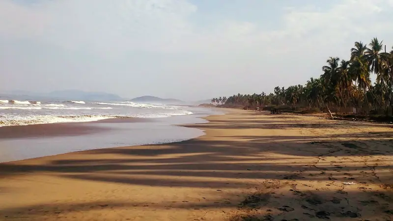 Ixtapa-Zihuatanejo coast, Guerrero: the setting of Playa Viva (not a photo of the property)