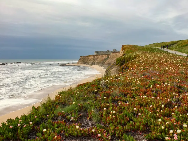 NorCal2018 Beach and Cliff at Ritz-Carlton Half Moon Bay S0645075, at The Ritz-Carlton, Half Moon Bay