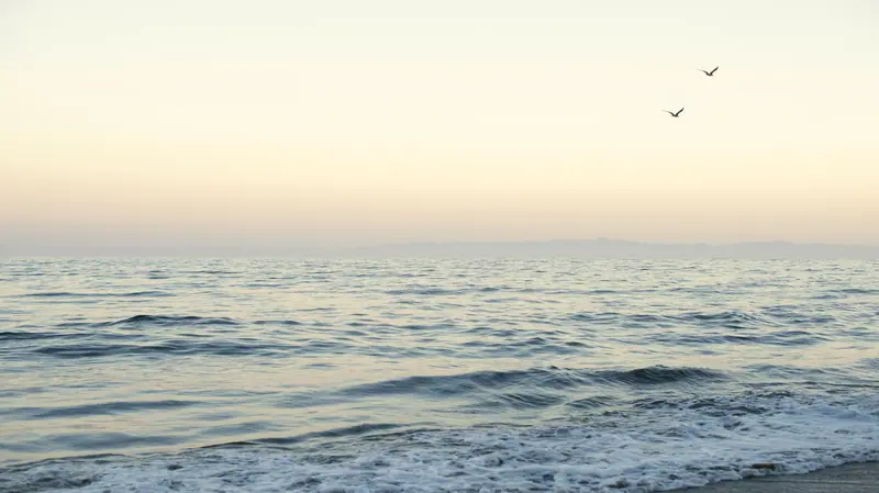 Montecito coast, California: the setting of Rosewood Miramar Beach (not a photo of the property)