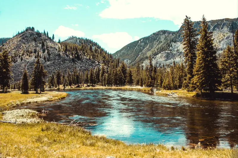 Yellowstone National Park: the setting of Sage Lodge (not a photo of the property)