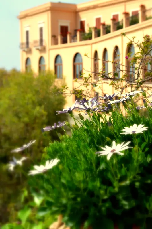San Domenico Palace in bloom