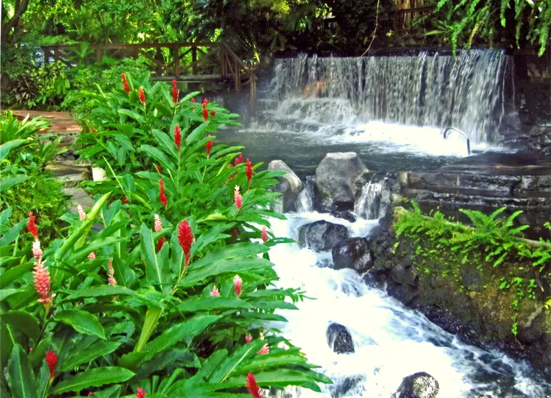 Hot springs at Tabacón below Arenal Volcano
