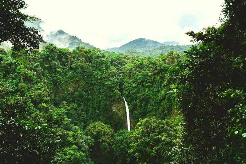 Steaming thermal river and gardens at Tabacón, Costa Rica