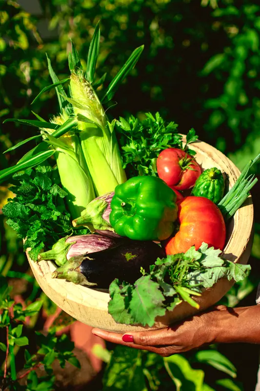 Hands holding a just-picked harvest of fresh vegetables and greens