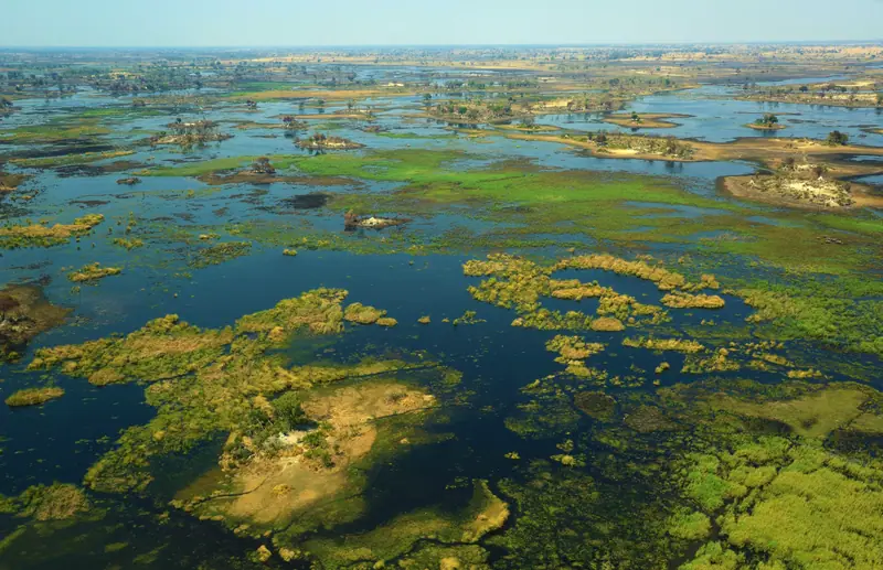 Okavango Delta, Botswana: the setting of Xigera Safari Lodge (not a photo of the property)